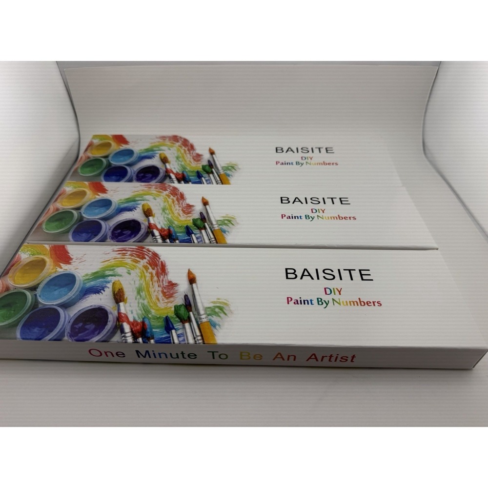 3 Boxes BAISITE Paint by Numbers Kit for Adults-2 Canvas-Brand New